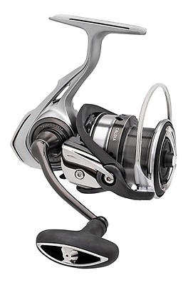 Daiwa AIRD LT 2000 Spinning Fishing Reel  NEW @ Otto's Tackle World 