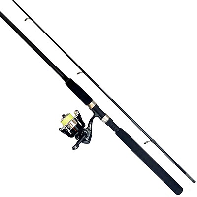 pike spinning rod and reel