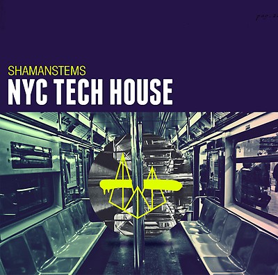 acid house shamanstems