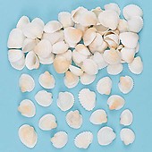 Baker Ross AV168 Mini Scallop Shells - Pack of 250g, Set for Kids to Embellish Sealife Art Activities & Displays, Natural Crafting Supplies