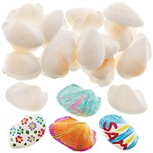 Baker Ross AV168 Mini Scallop Shells - Pack of 250g, Set for Kids to Embellish Sealife Art Activities & Displays, Natural Crafting Supplies