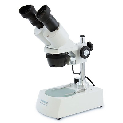 Dissecting microscope images