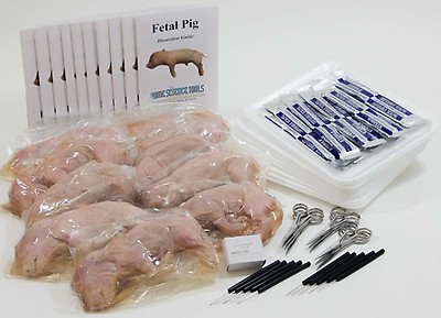 Fetal pig dissection kit