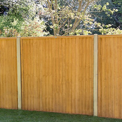 Forest 6 X 5 Closeboard Fence Panel 1 83m X 1 51m B M