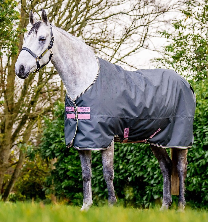 Buy Amigo® Bravo 12 Original Turnout (100g Light) Online - Horseware I