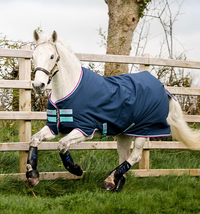 Order Amigo® Hero 900 Pony Turnout (0g Light) Online - Horseware Irela