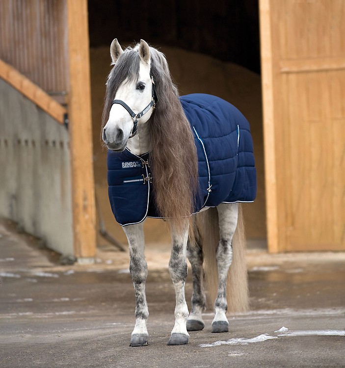Tapis De Prairie Rambo Duo Horseware 6'9" 100g - Imperméable - Bleu - Occasion