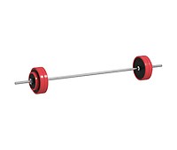 Barra de Pesos de Aço180 cm Ø50 mm com 2 Grampos Carga 200 kg Barra  Olimpica para Discos de Ø5 cm Prata e Preto