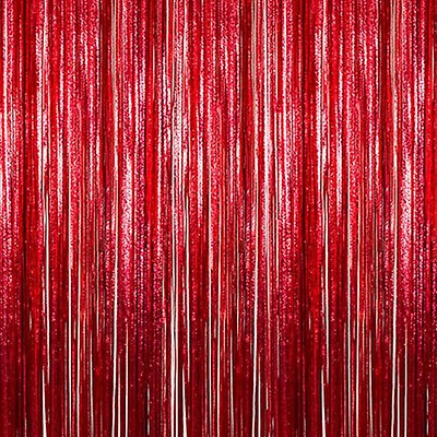 Silver - Metallic Fringe Curtain - Many Size Options