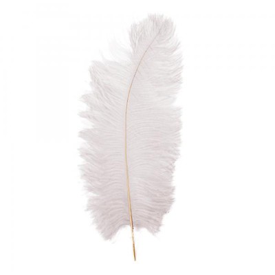 Decostar™ White Ostrich Feather - 22 to 24 - 144 Feathers!