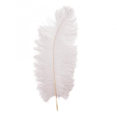 13-15 Fabulous Natural Ostrich Feathers-12PCS - White