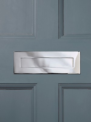 Nickel Doctors Door Knocker