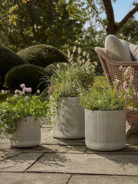 Three Ribbed Planters