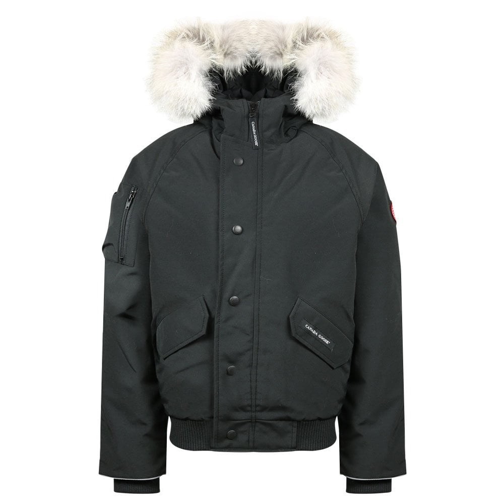 light grey canada goose