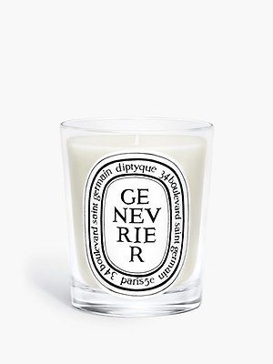 Diptyque candle vanilla new arrivals