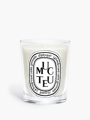 Verveine / Lemon Verbena Scented Candle