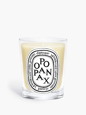 キャンドル diptyque BAIES scented candle 190g Patchouli candle
