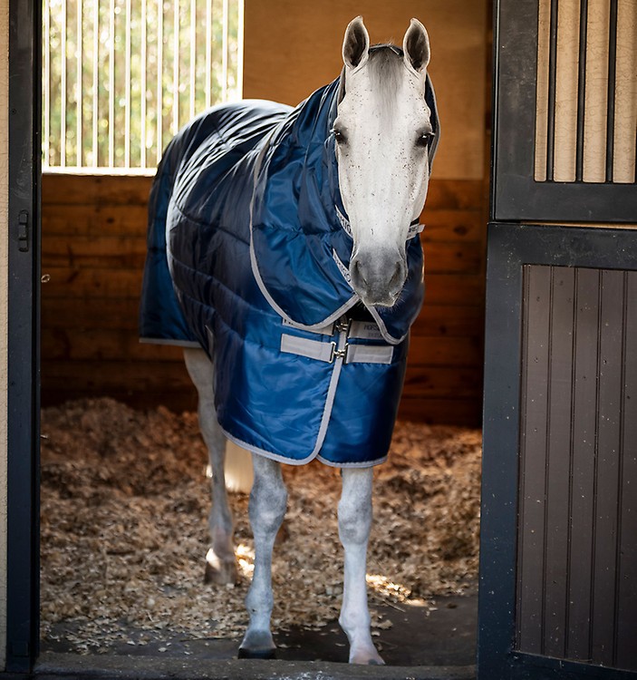 Horses Turnout Pferdedecke 200g – Wasserdicht, Mit Nackenschutz, 155 Cm, Blau