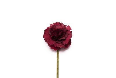 Carnation Boutonnieres