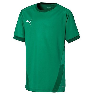 Puma teamGOAL 23 Casuals Kinder T-Shirt - grün