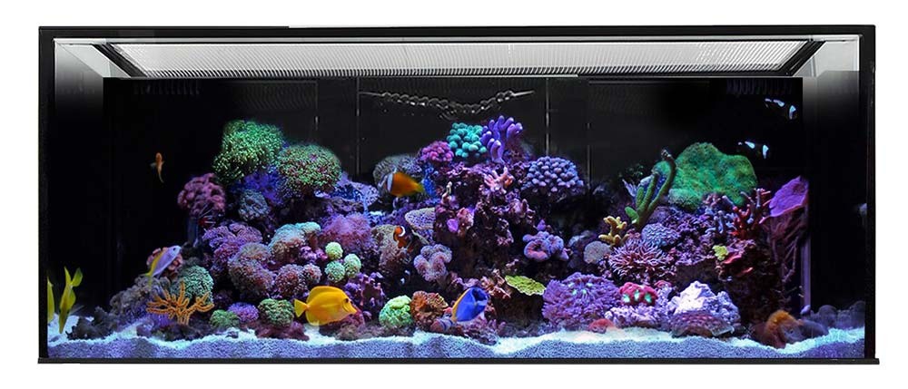 Red Sea Reefer 750 Xxl Aquarium 0 Gallon Black Marine Depot