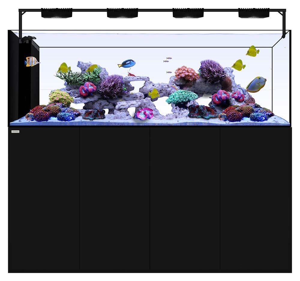 Reefer 3xl 900 Rimless Aquarium 240 Gallon White Red Sea Marine Depot