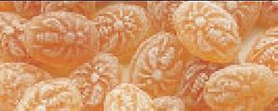 Épicerie : Pain d'épices au miel et à l'orange - 300 g - Icko Apiculture