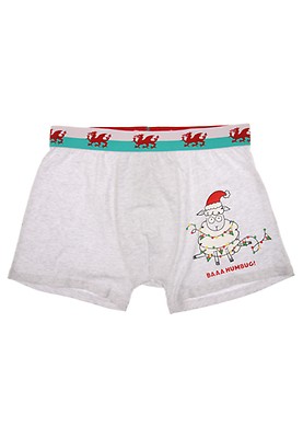 Funny Underwear For Men Mens Novelty Boxer Shorts Aubergine Mens