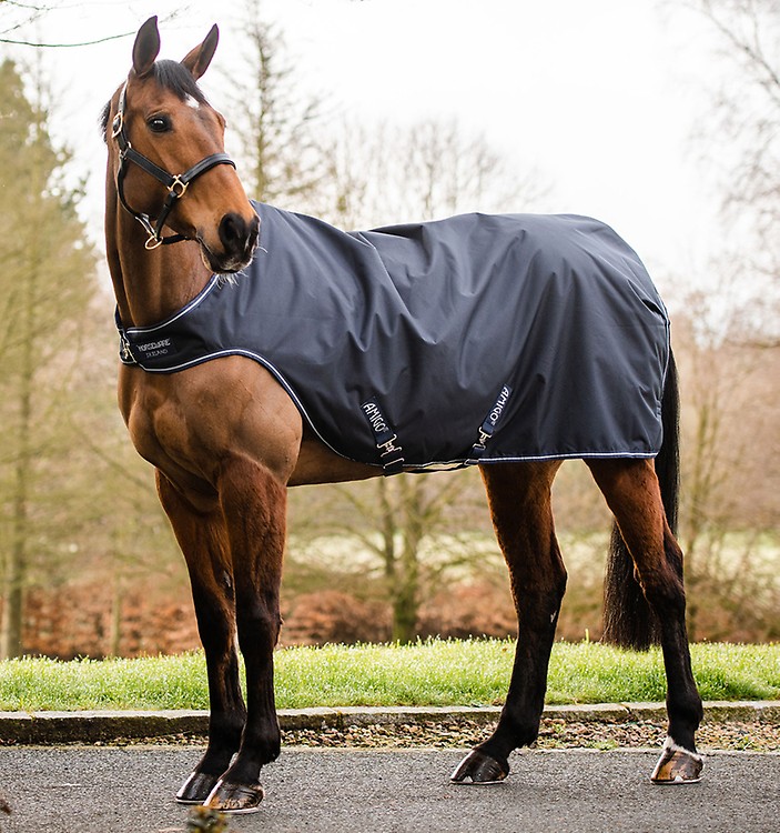 Purchase Rambo® Optimo Stable Blanket (200g Medium) Online - Horseware