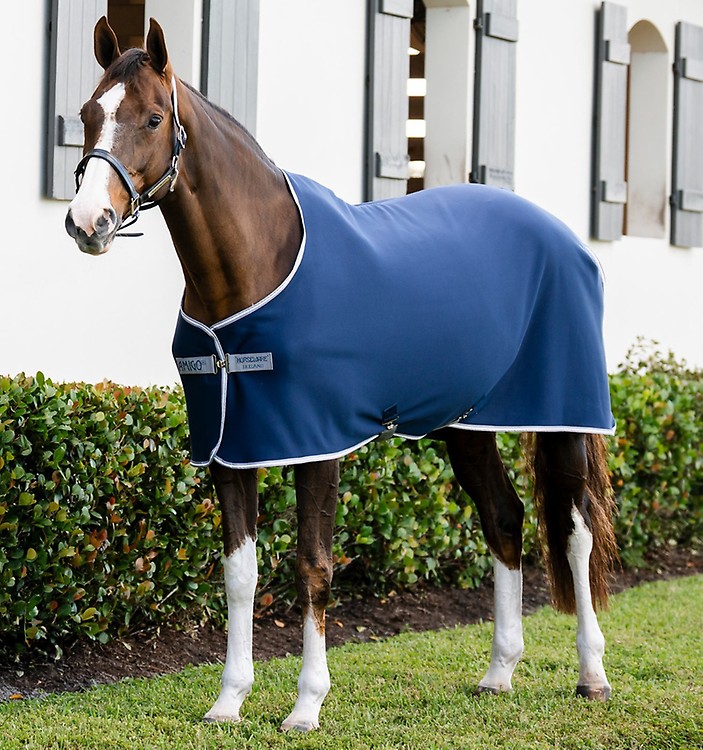 Purchase Horseware® Signature Sport Cooler (No Fill) Online