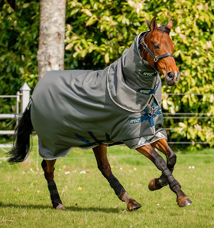 Protège-genoux massant cheval Ice-Vibe - Horseware - HORSEWARE - Protections  thérapeutiques chevaux - Equestra