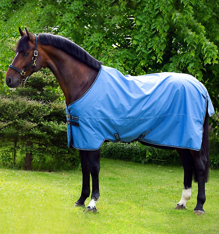 Coperta in cotone Amigo Stable Sheet - selleriagiuseppuccionline