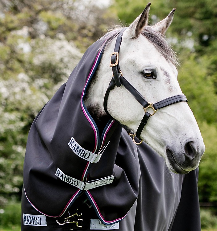 Order Rambo® Dry Rug Supreme (No Fill) Online - Horseware Ireland ®