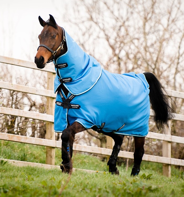 AMIGO HERO 6 PETITE PLUS TURNOUT MEDIUM – ZENN EQUINE - Hard As Nails Horse  Rugs