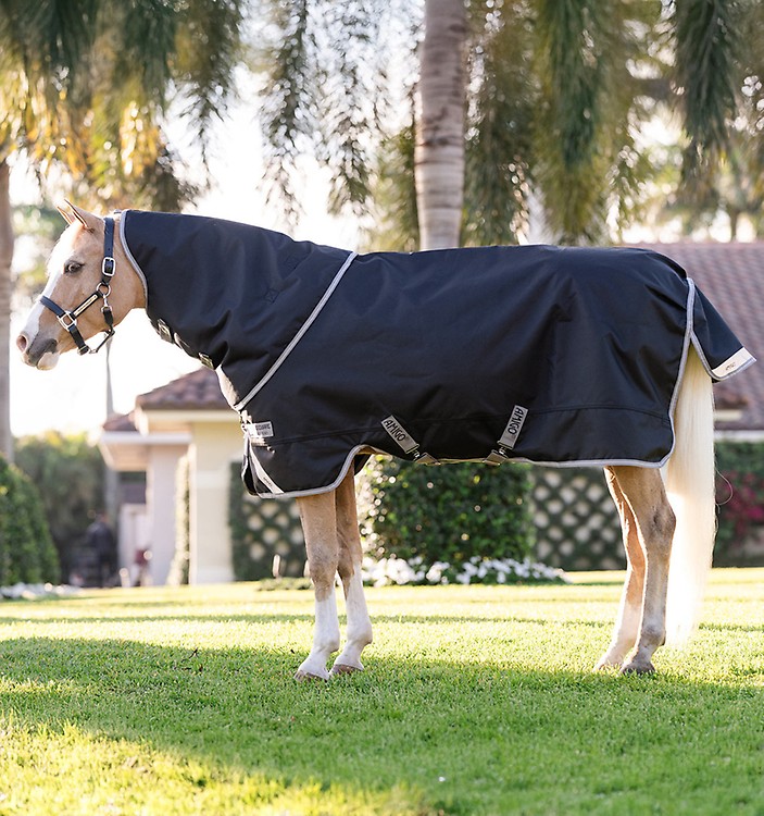 AMIGO® BRAVO 12 PLUS TURNOUT MEDIUM 250G - Bony Pony