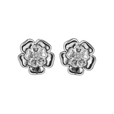 Olivia burton dragonfly earrings hotsell