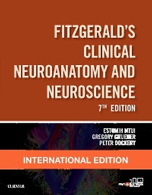 Clinical Neuroanatomy 第7版 Fitzgerald's Clinical Neuroanatomy and Neuroscience