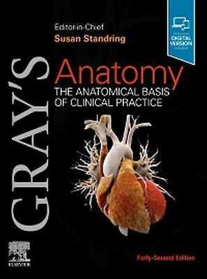 Gray's Anatomy for Students - 9780323934237 | Elsevier Health