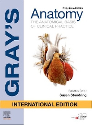 Gray's Anatomy for Students - 9780323934237 | Elsevier Health
