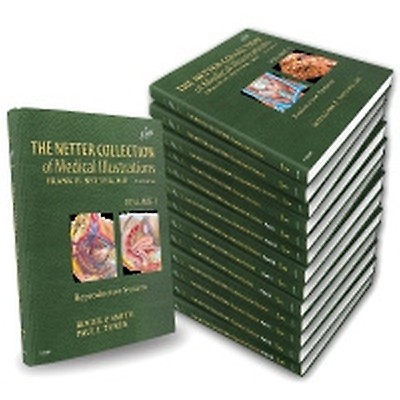 The Netter Collection of Medical Illustrations C