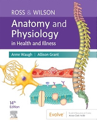 Ross & Wilson Anatomy and Physiology in Health a - 9780323834605 | Elsevier  Health