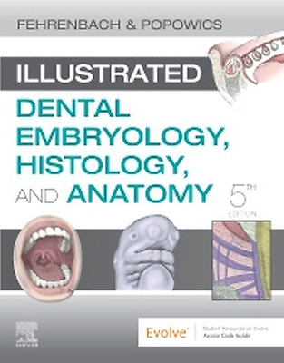 サークル:よろずFC ミレニアム「FETAL」Vol.5＆Vol.6　2冊セット Student Workbook for Illustrated Dental Embryology, Histology and