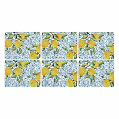 Wildflowers Set of 6 Placemats | Portmeirion