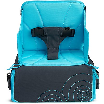 brica car seat travel bag