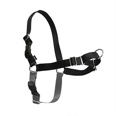 Petsafe Come With me Kitty Cat Harness & Bungee Leash