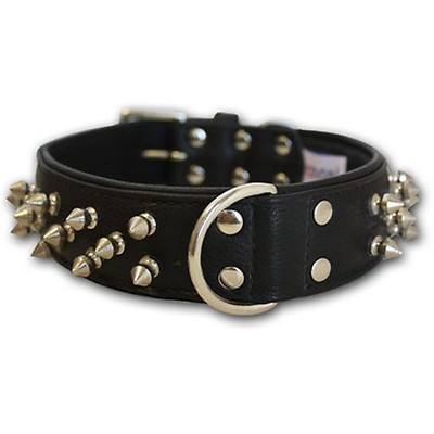 Buy Horze Noir Dog Collar with Stars