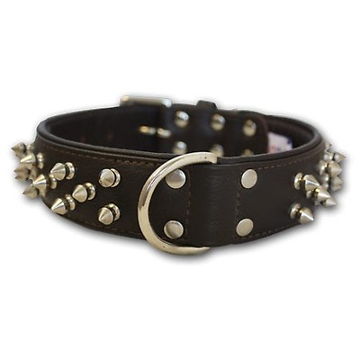 Angel dog hot sale collar