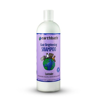 Earthbath oatmeal and aloe best sale conditioner gallon