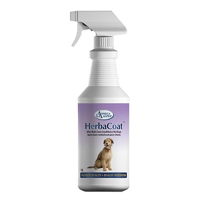 Marigold spray hotsell for dogs