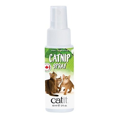 Kong catnip spray sale